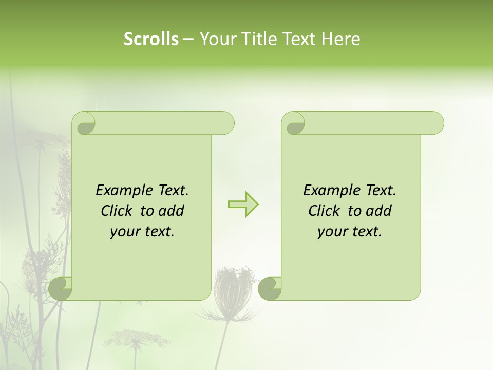 Tea Leaves And Teapot On White Background PowerPoint Template