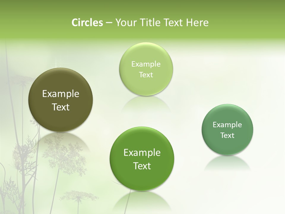 Tea Leaves And Teapot On White Background PowerPoint Template