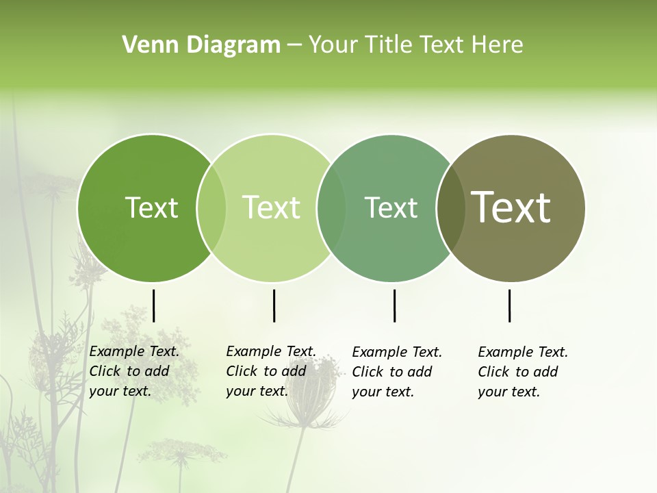 Tea Leaves And Teapot On White Background PowerPoint Template