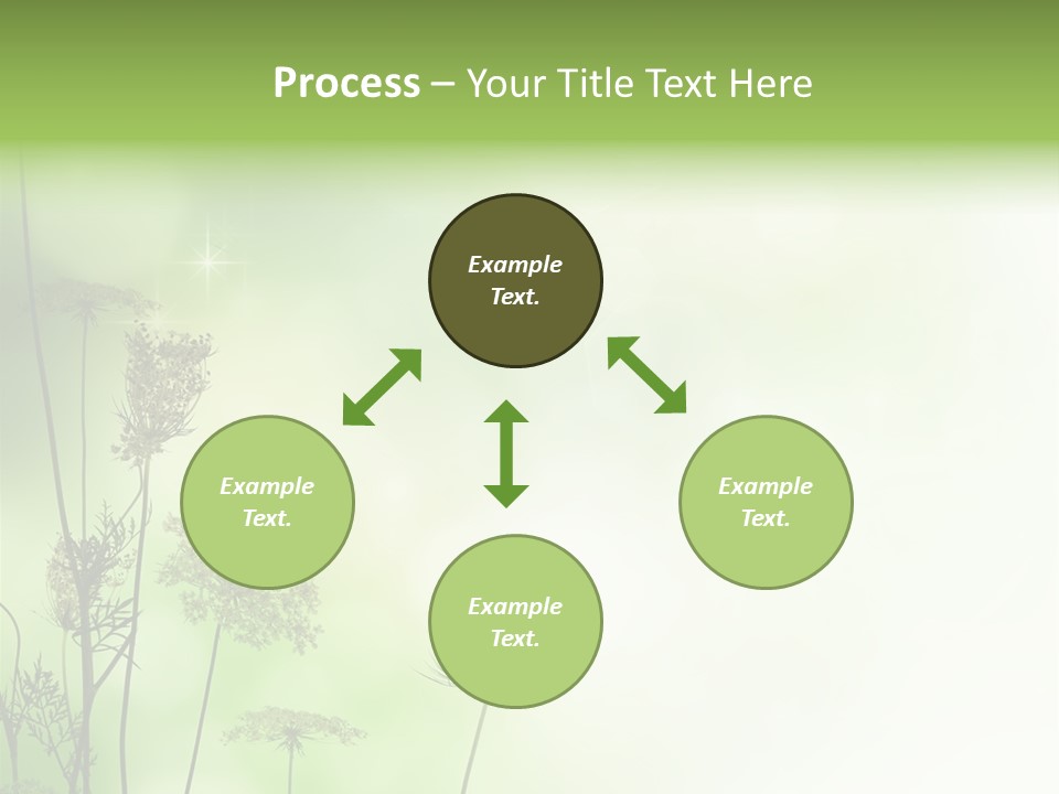 Tea Leaves And Teapot On White Background PowerPoint Template