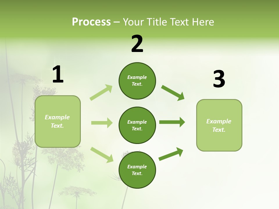 Tea Leaves And Teapot On White Background PowerPoint Template