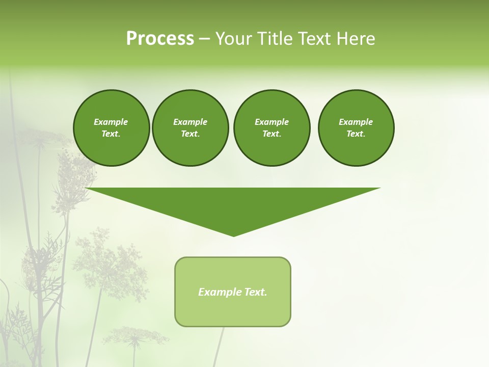 Tea Leaves And Teapot On White Background PowerPoint Template