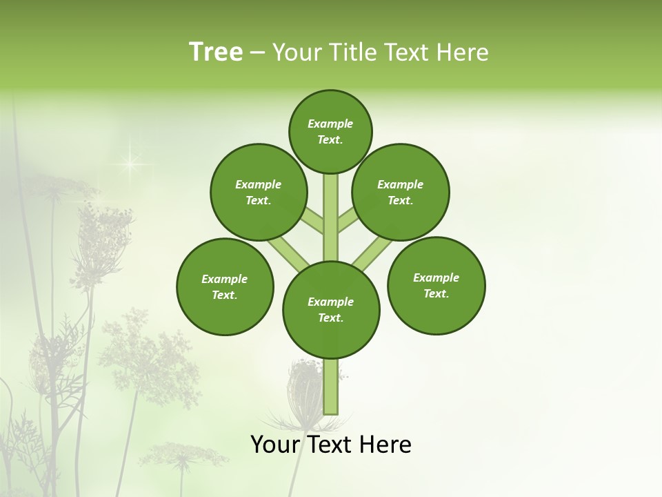 Tea Leaves And Teapot On White Background PowerPoint Template