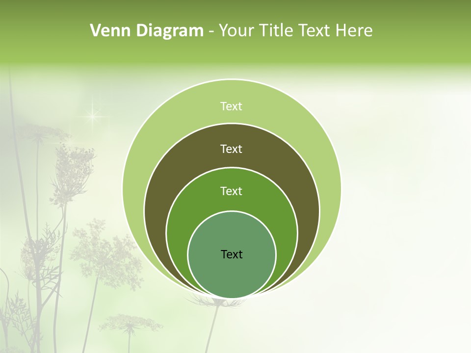 Tea Leaves And Teapot On White Background PowerPoint Template