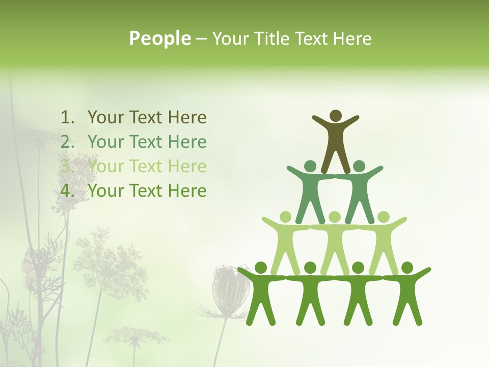 Tea Leaves And Teapot On White Background PowerPoint Template