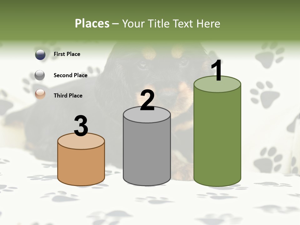 Cute Purebred Cocker Spaniel Puppy Laid Down On A Sofa PowerPoint Template