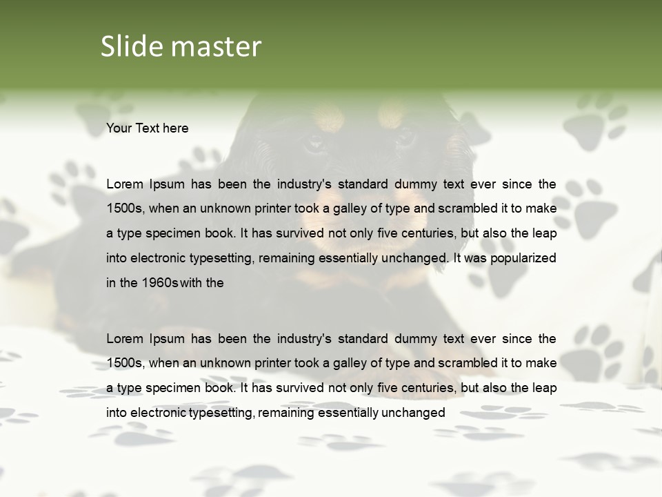 Cute Purebred Cocker Spaniel Puppy Laid Down On A Sofa PowerPoint Template