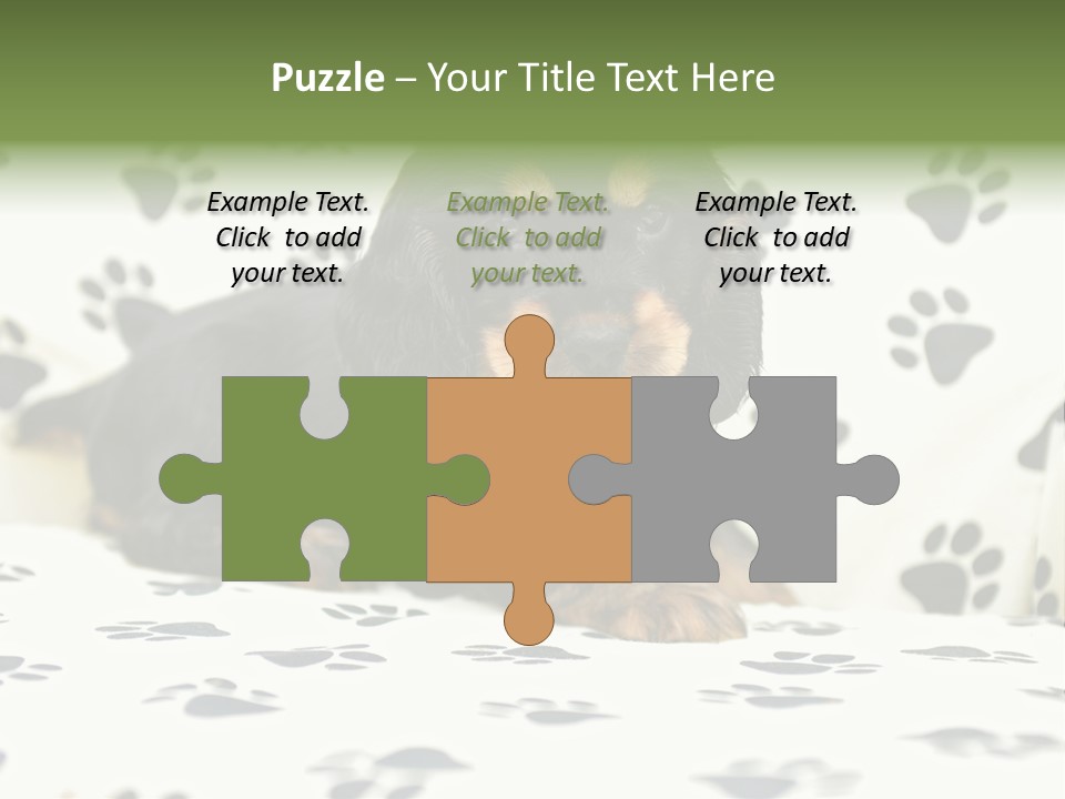 Cute Purebred Cocker Spaniel Puppy Laid Down On A Sofa PowerPoint Template