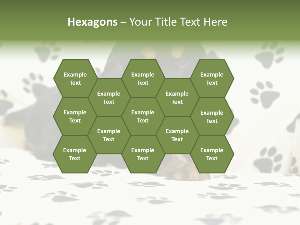 Cute Purebred Cocker Spaniel Puppy Laid Down On A Sofa PowerPoint Template