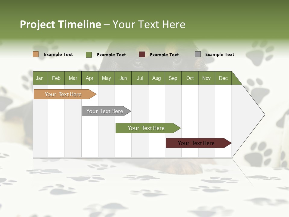 Cute Purebred Cocker Spaniel Puppy Laid Down On A Sofa PowerPoint Template