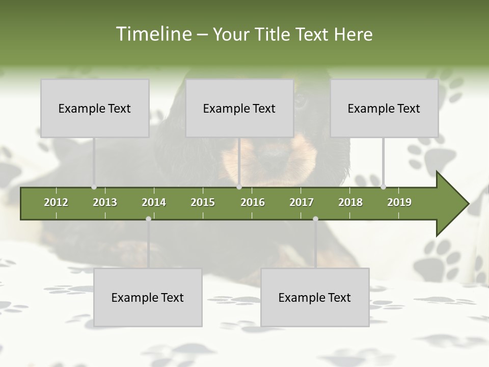 Cute Purebred Cocker Spaniel Puppy Laid Down On A Sofa PowerPoint Template
