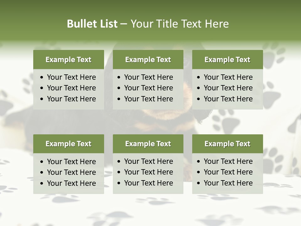 Cute Purebred Cocker Spaniel Puppy Laid Down On A Sofa PowerPoint Template