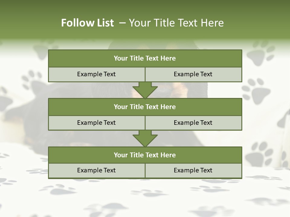 Cute Purebred Cocker Spaniel Puppy Laid Down On A Sofa PowerPoint Template
