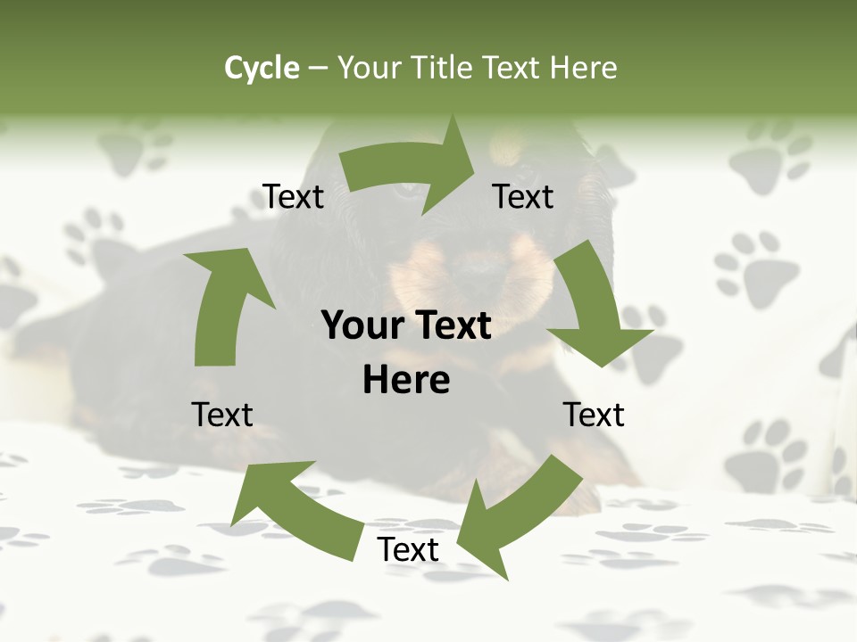 Cute Purebred Cocker Spaniel Puppy Laid Down On A Sofa PowerPoint Template