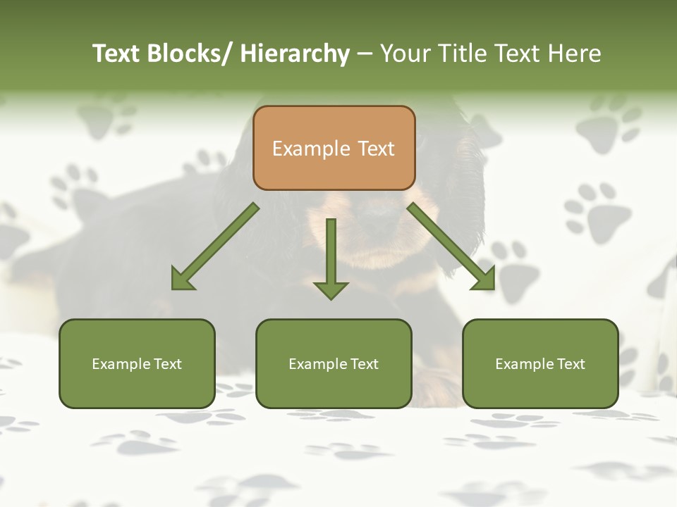 Cute Purebred Cocker Spaniel Puppy Laid Down On A Sofa PowerPoint Template