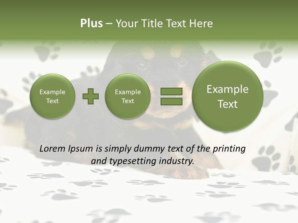 Cute Purebred Cocker Spaniel Puppy Laid Down On A Sofa PowerPoint Template