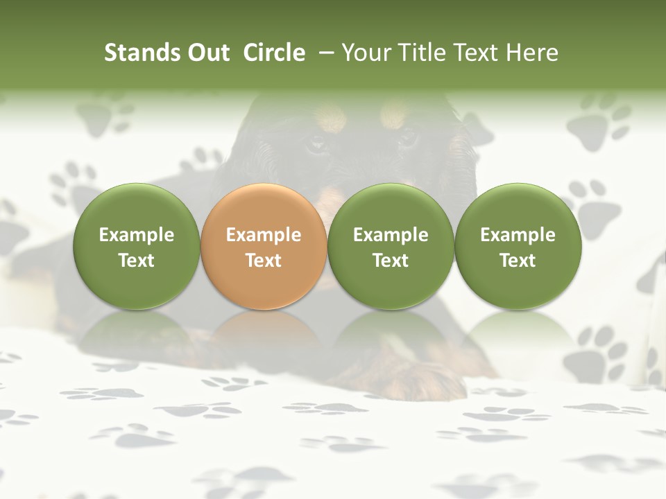 Cute Purebred Cocker Spaniel Puppy Laid Down On A Sofa PowerPoint Template