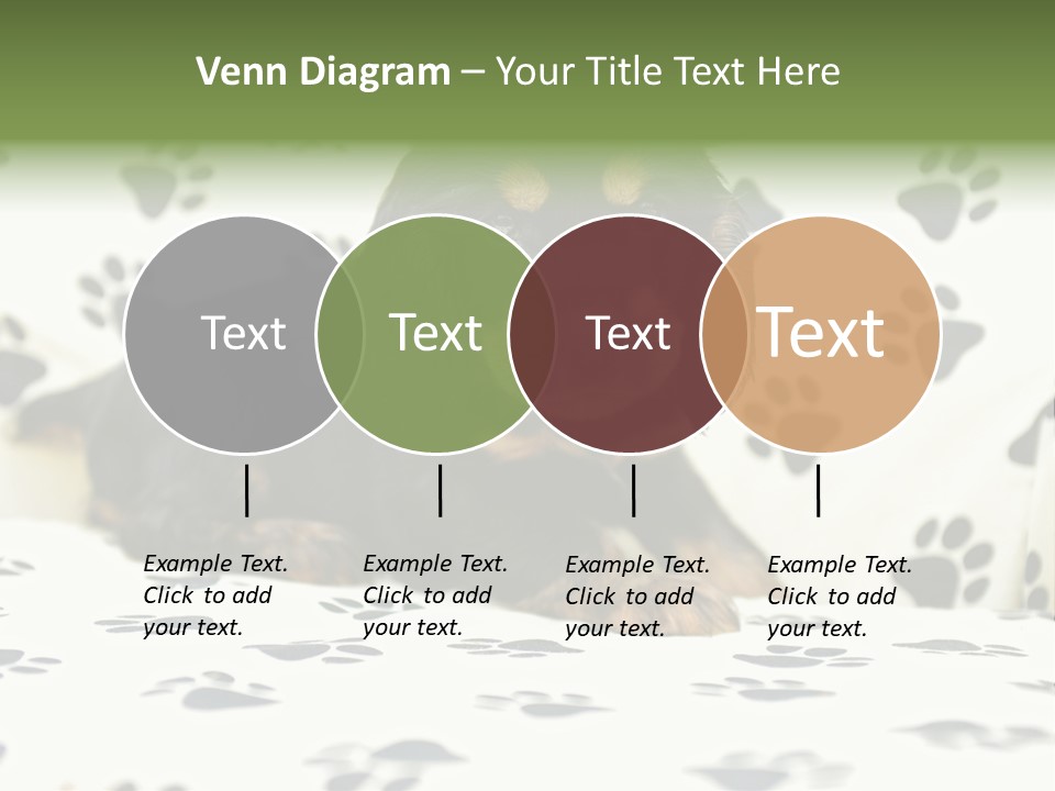 Cute Purebred Cocker Spaniel Puppy Laid Down On A Sofa PowerPoint Template