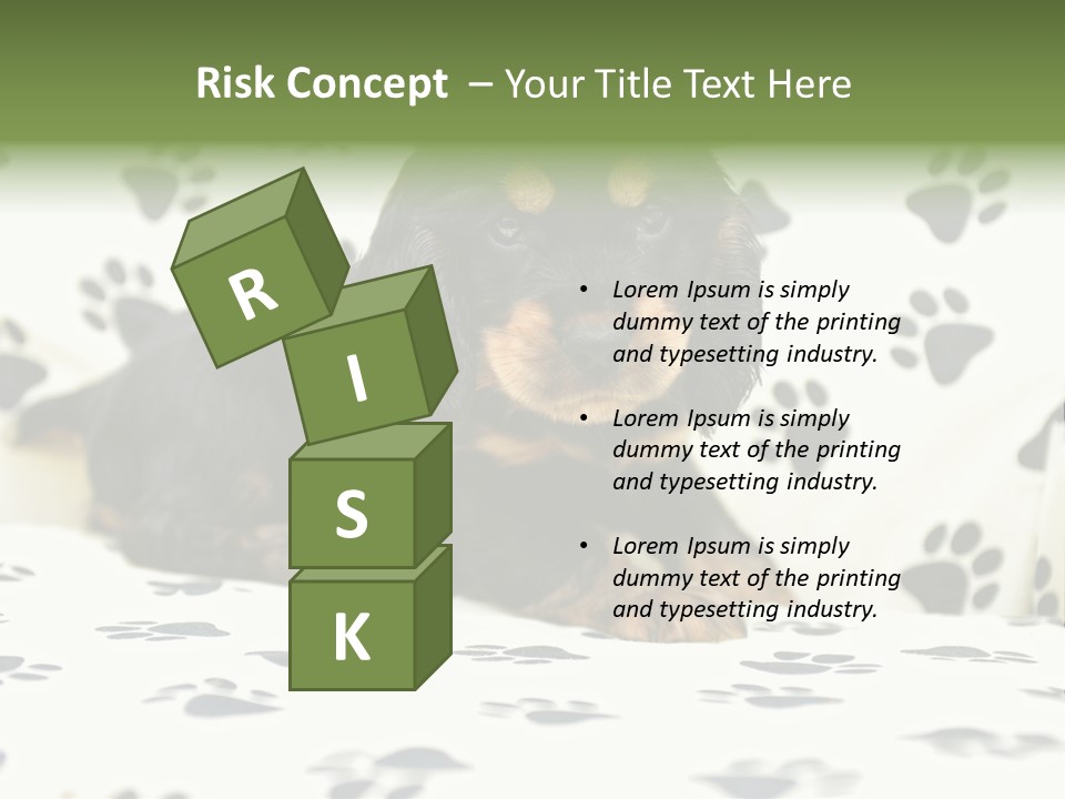 Cute Purebred Cocker Spaniel Puppy Laid Down On A Sofa PowerPoint Template