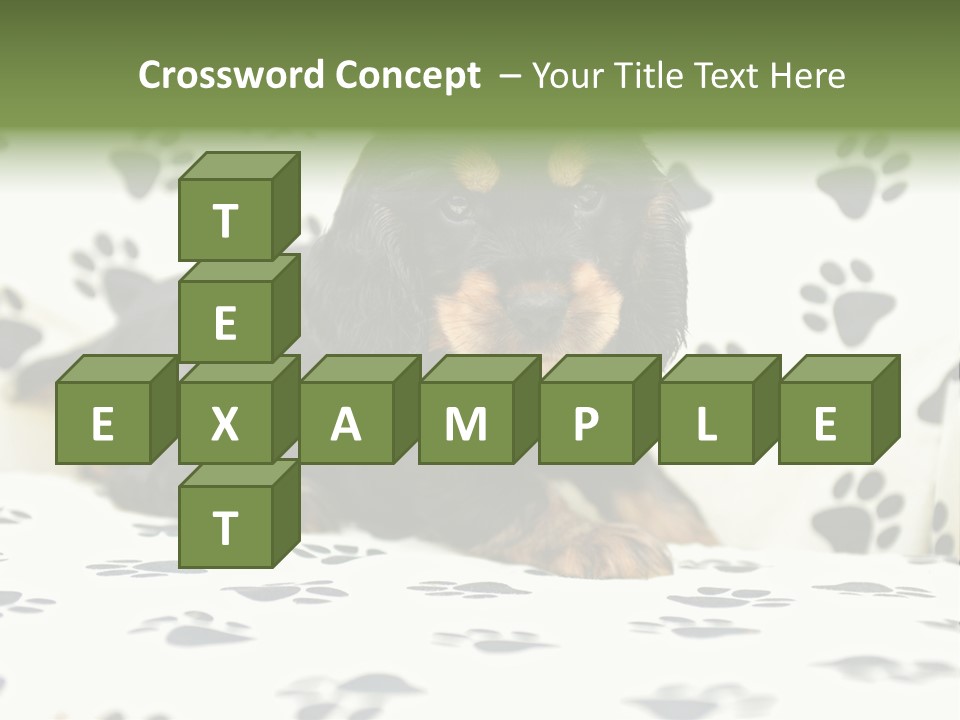 Cute Purebred Cocker Spaniel Puppy Laid Down On A Sofa PowerPoint Template