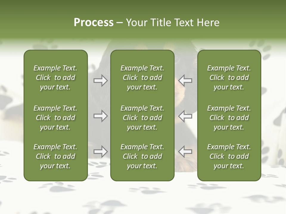 Cute Purebred Cocker Spaniel Puppy Laid Down On A Sofa PowerPoint Template
