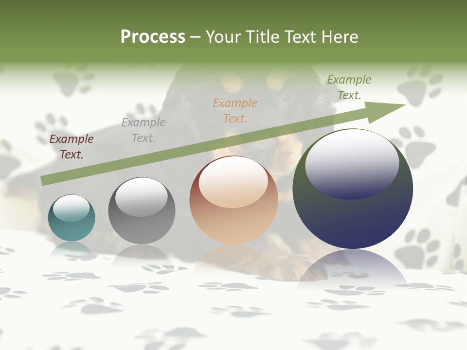 Cute Purebred Cocker Spaniel Puppy Laid Down On A Sofa PowerPoint Template