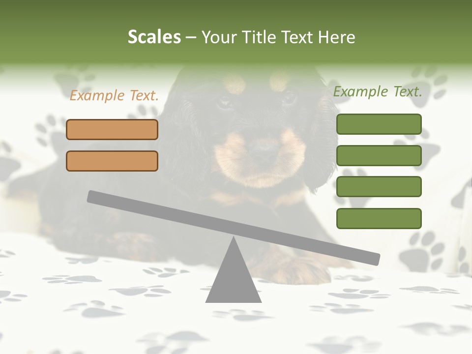 Cute Purebred Cocker Spaniel Puppy Laid Down On A Sofa PowerPoint Template