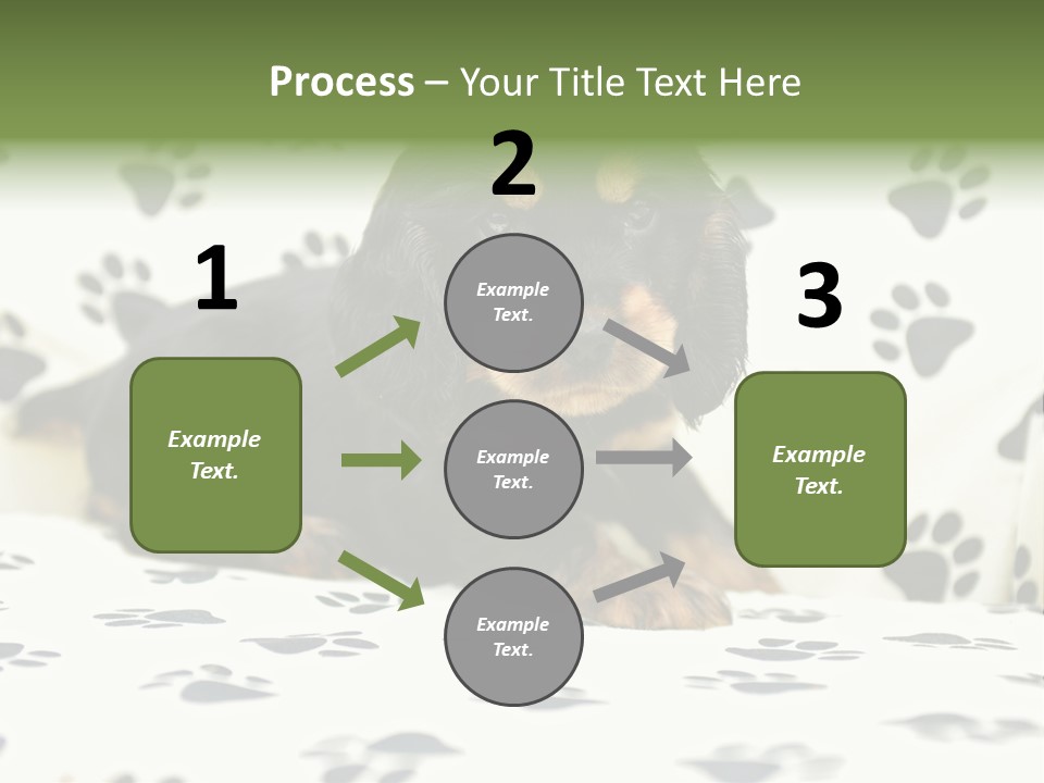 Cute Purebred Cocker Spaniel Puppy Laid Down On A Sofa PowerPoint Template