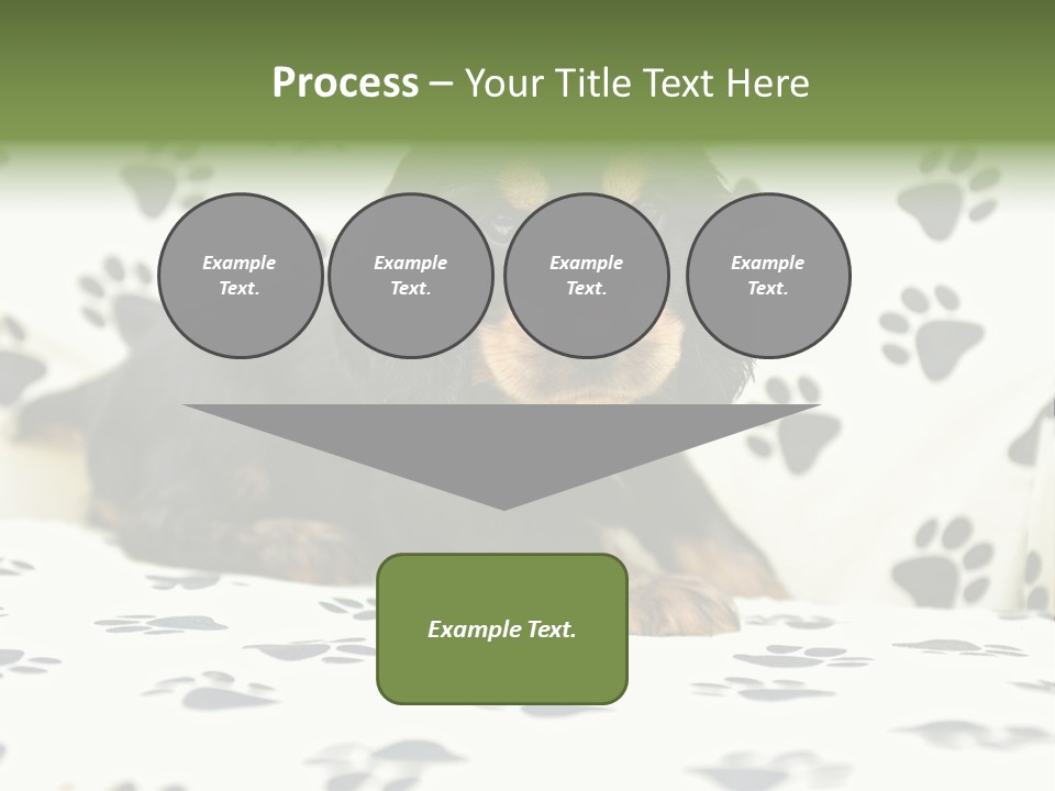 Cute Purebred Cocker Spaniel Puppy Laid Down On A Sofa PowerPoint Template