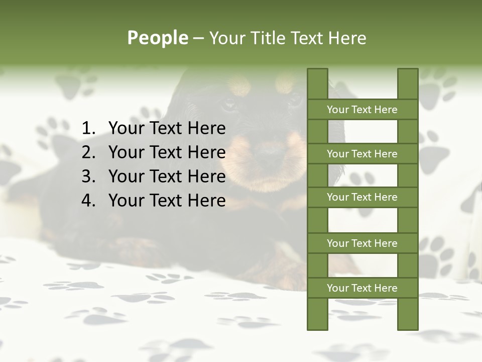 Cute Purebred Cocker Spaniel Puppy Laid Down On A Sofa PowerPoint Template