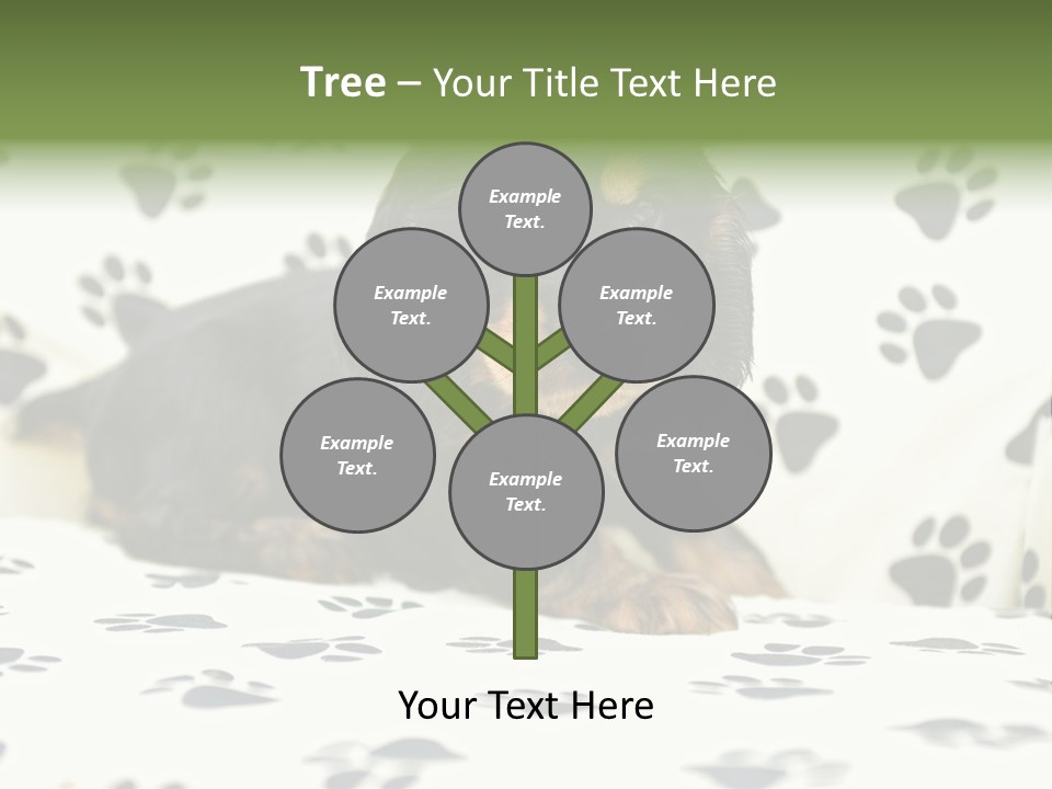 Cute Purebred Cocker Spaniel Puppy Laid Down On A Sofa PowerPoint Template