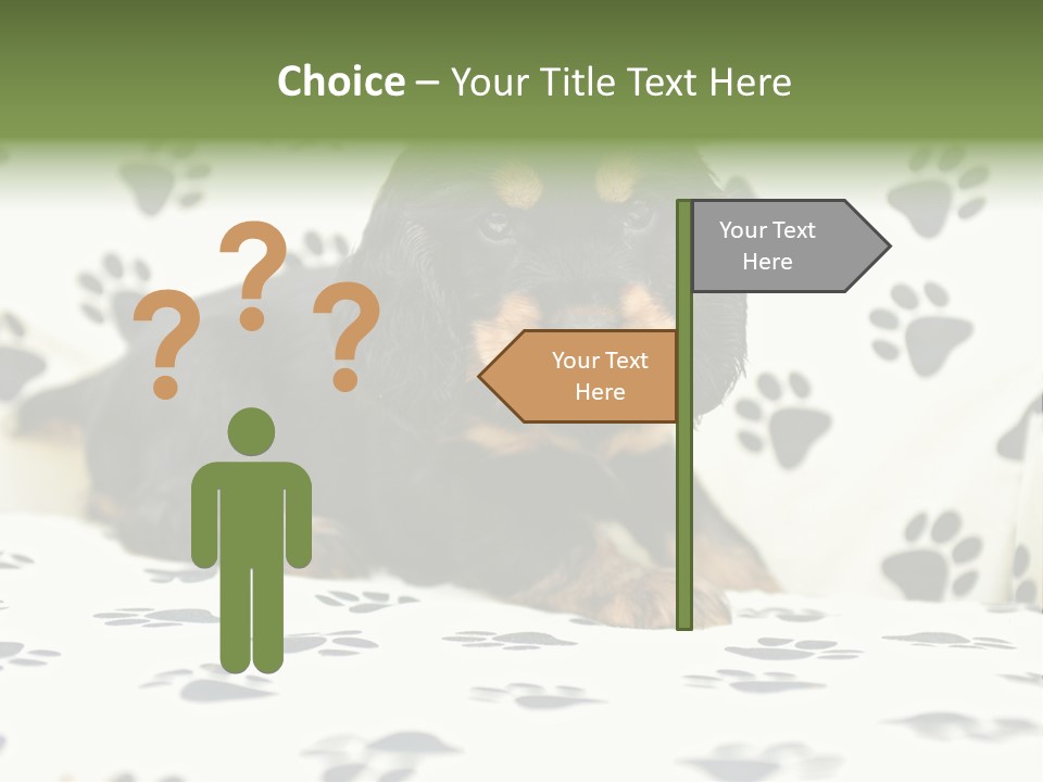 Cute Purebred Cocker Spaniel Puppy Laid Down On A Sofa PowerPoint Template