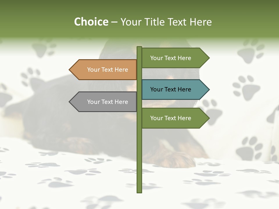 Cute Purebred Cocker Spaniel Puppy Laid Down On A Sofa PowerPoint Template