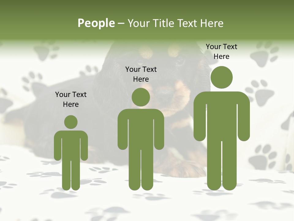 Cute Purebred Cocker Spaniel Puppy Laid Down On A Sofa PowerPoint Template