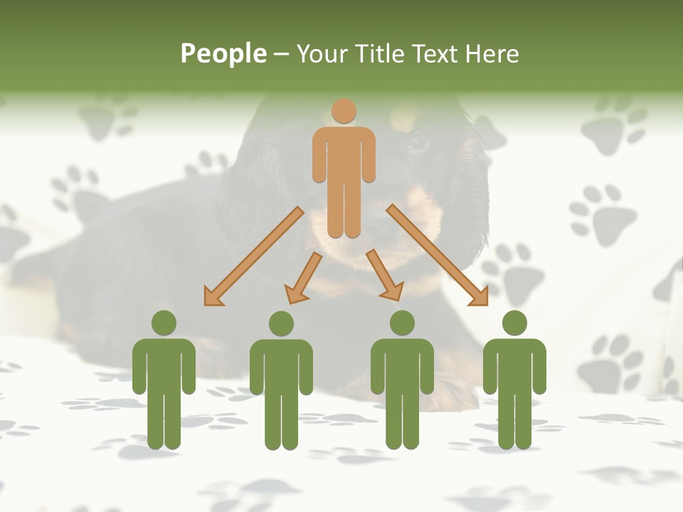 Cute Purebred Cocker Spaniel Puppy Laid Down On A Sofa PowerPoint Template