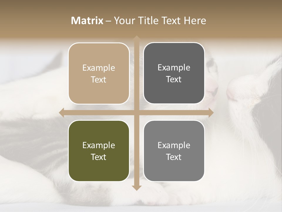 Kitten With Mom PowerPoint Template