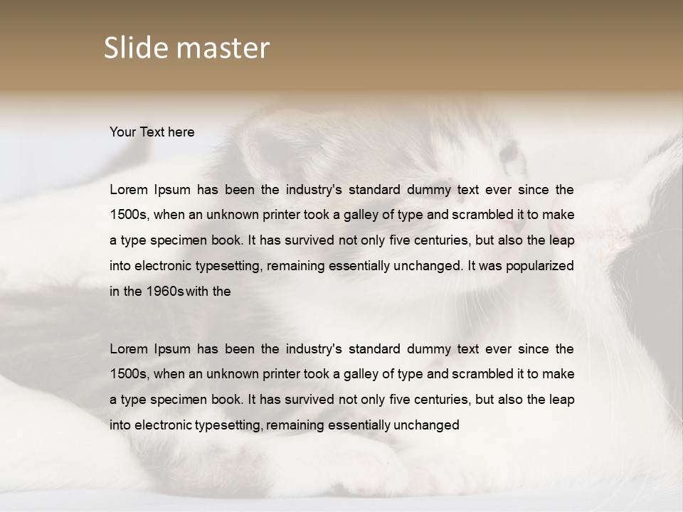 Kitten With Mom PowerPoint Template