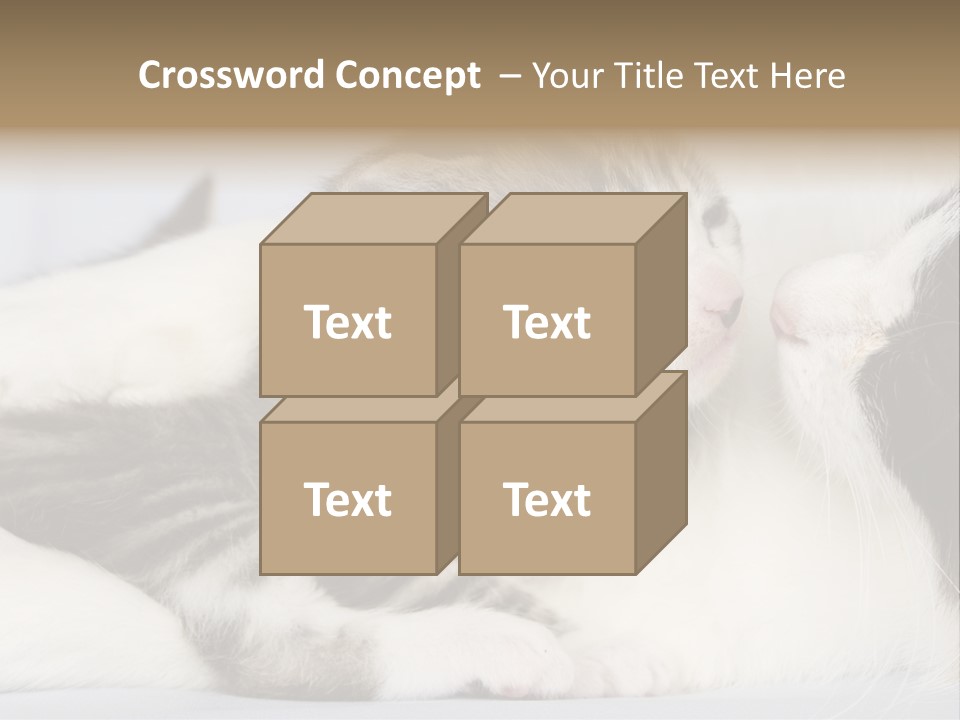 Kitten With Mom PowerPoint Template