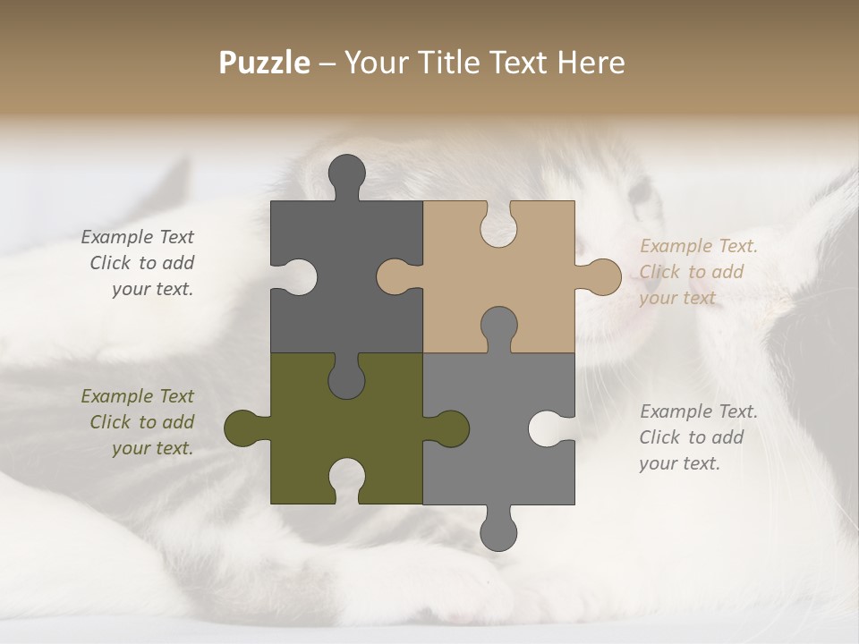 Kitten With Mom PowerPoint Template