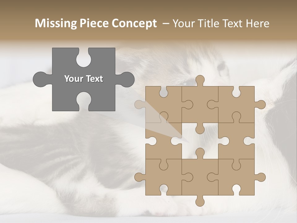 Kitten With Mom PowerPoint Template