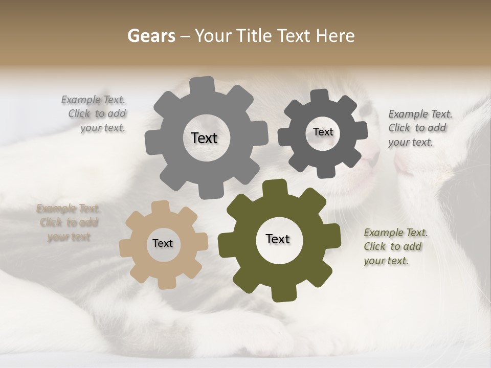 Kitten With Mom PowerPoint Template