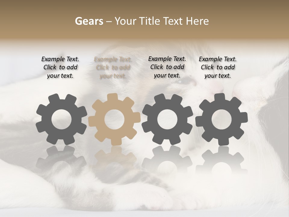 Kitten With Mom PowerPoint Template