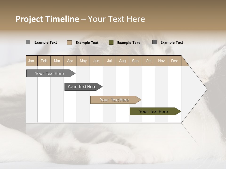 Kitten With Mom PowerPoint Template