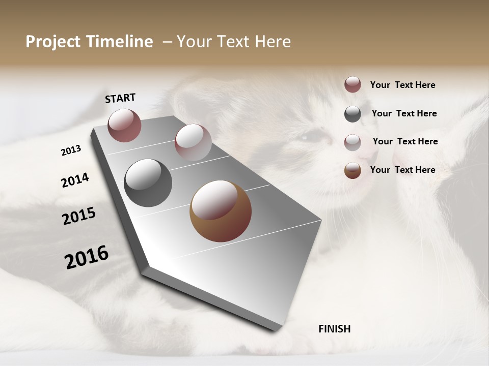 Kitten With Mom PowerPoint Template