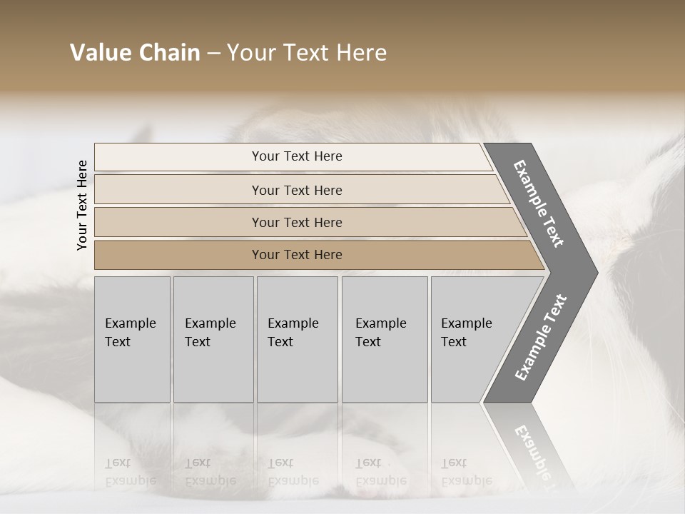 Kitten With Mom PowerPoint Template