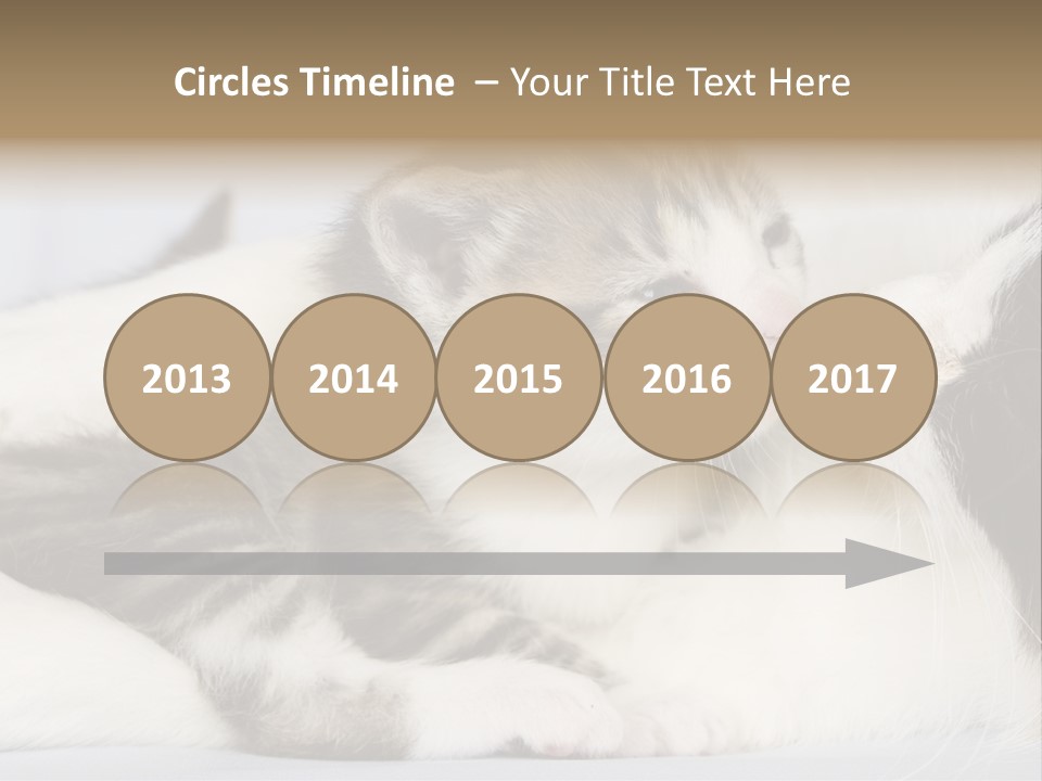 Kitten With Mom PowerPoint Template