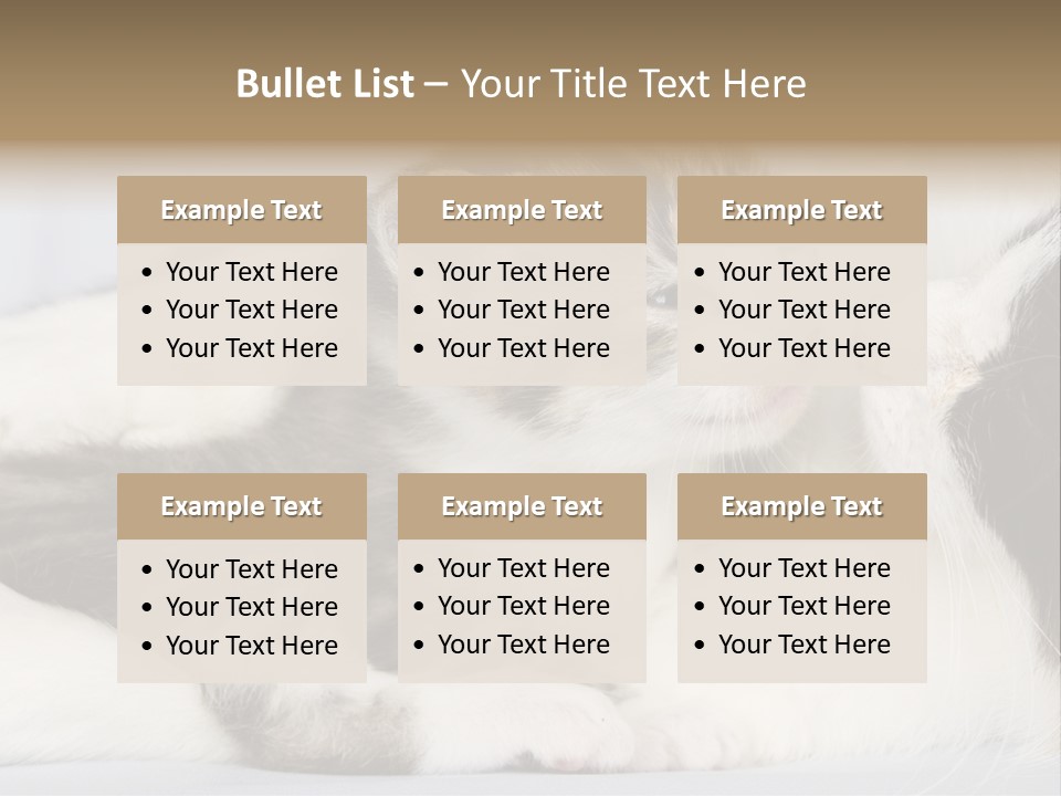 Kitten With Mom PowerPoint Template