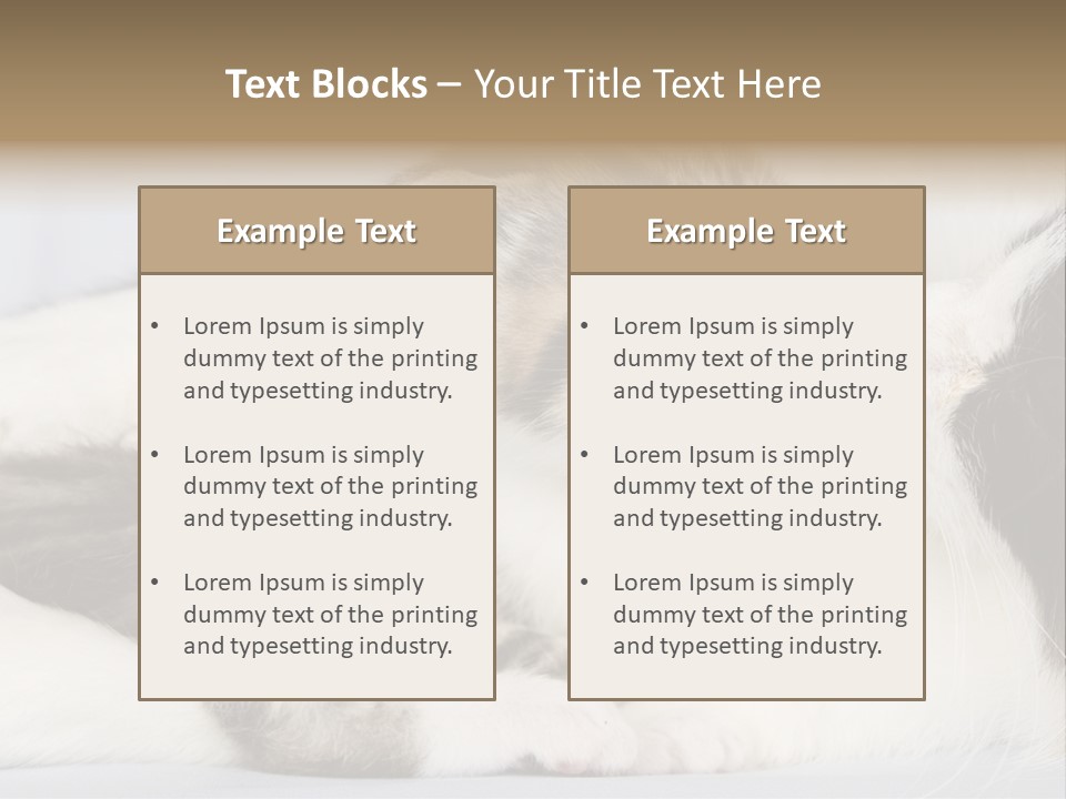 Kitten With Mom PowerPoint Template