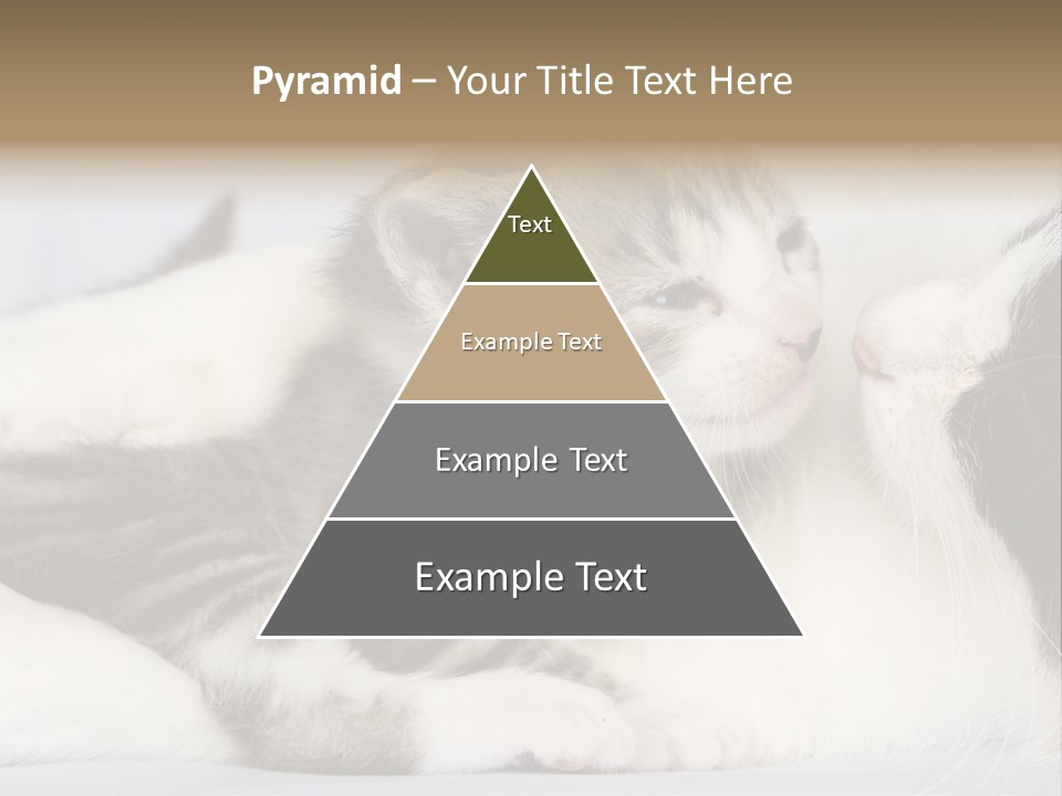 Kitten With Mom PowerPoint Template