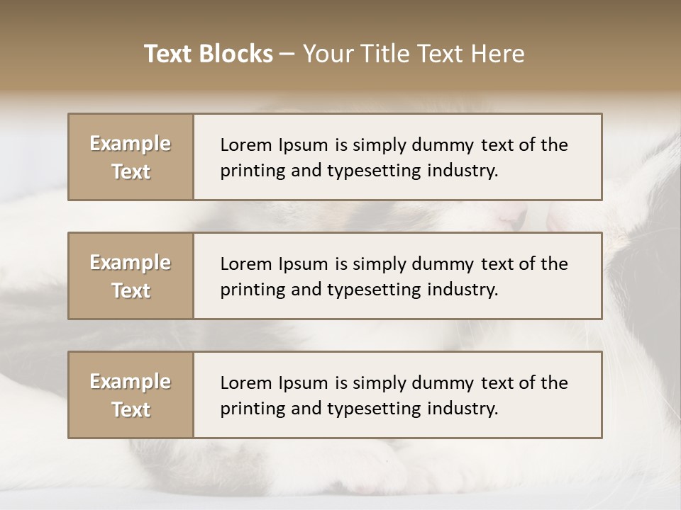 Kitten With Mom PowerPoint Template